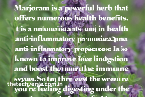 Marjoram Health Benefits: Uses in Medicine & Homeopathy