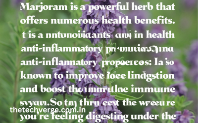 Marjoram Health Benefits: Uses in Medicine & Homeopathy