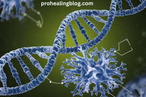 PODN, a gene encoding podocan,