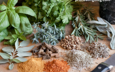 what plants can be used to make herbs and spices