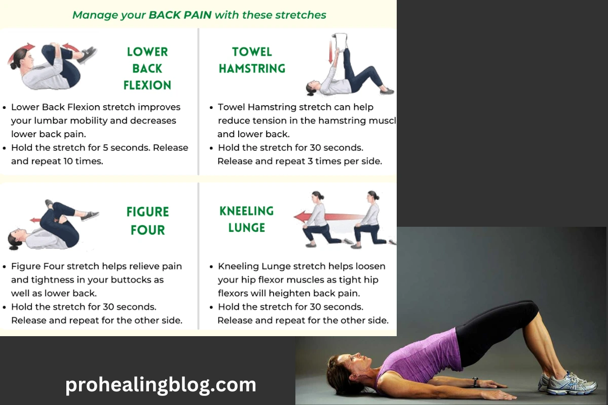 Best Lower Back Stretches to Relieve Pain