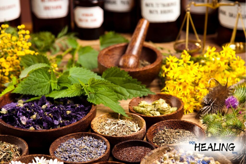 Medicinal Plants: Health Boost Secrets