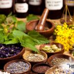 medicinal-plants-pro-healing-blog.com