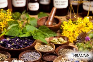 medicinal-plants-pro-healing-blog.com
