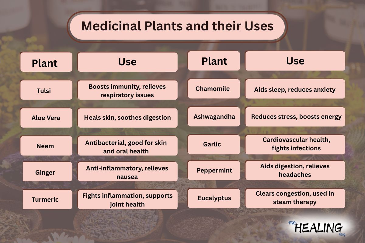 medicinal-plants-pro-healing-blog.com