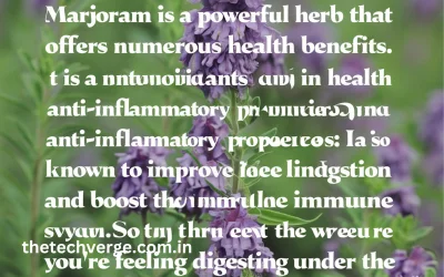 Marjoram Health Benefits: Uses in Medicine & Homeopathy Marjoram Health Benefits: Uses in Medicine & Homeopathy